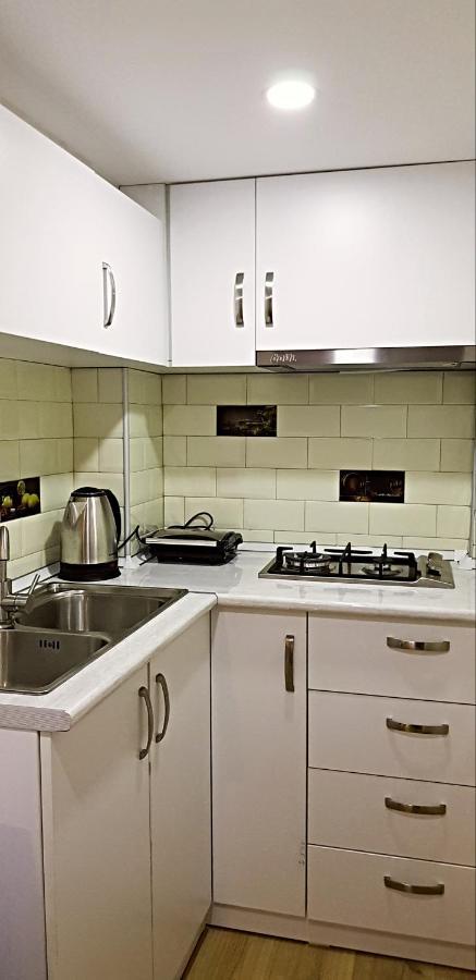 Bright And Cozy Apartment On Aghmashenebeli Avenue ティビリシ エクステリア 写真